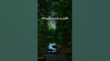تلاوة من سورة الواقعة 51-56 للقارئ اسلام صبحي
