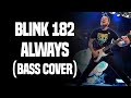 Blink 182 - Always (Bass Cover) 🎸