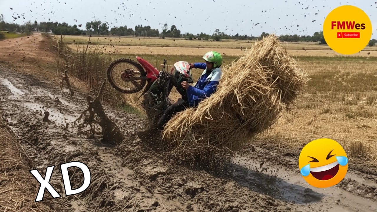 SI TE RÍES PIERDES NIVEL DIOS #528 😂 LOS VIDEOS GRACIOSOS Y MEMES MÁS VIRALES DEL 2025 😁