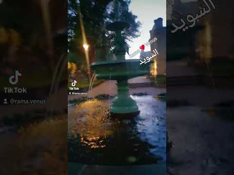 ميادة الحناوي انا الي نسيت معاك روحي