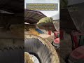 Inside the Giant Blender: 1,000lb Hay Bale vs. Industrial Mixer! 🚜💨