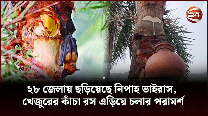 ২৮ জেলায় ছড়িয়েছে নিপাহ ভাইরাস, খেজুরের কাঁচা রস এড়িয়ে চলার পরামর্শ | Channel 24