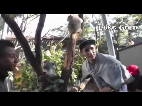 რიოს 2013 წლის ტური . დღიური #2