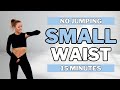 15 min small waist  absall standinglose belly fatno jumpingno repeat