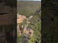 #travel #dailylife #australia #scenicviews #sydney #bluemountains