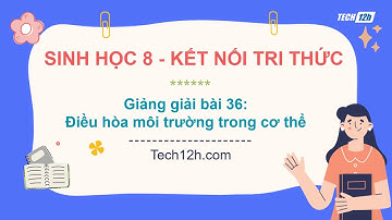 Giảng bài 36: Điều hòa môi trường trong cơ thể | Bài giảng  Sinh học 8 Kết nối tri thức
