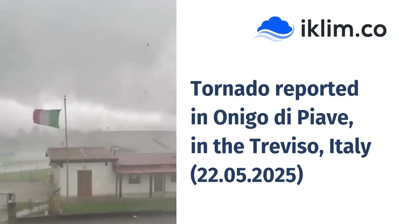 WHAT HAPPENED LAST WEEK? 19 May- 25 May