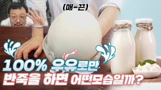 우유 100% / 물 0% 순수 우유만으로 반죽한 도우는 어떤모습? Pizza dough