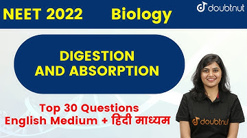 NEET 2022 | Digestion And Absorption | Top 30 Questions | English Medium + हिंदी माध्यम