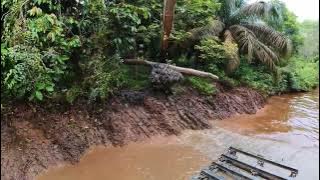 EXCAVATOR AMPHIBI CUCI SUNGAI DI HUTAN