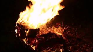 видео: ЦИТАДЕЛЬ. РОМАН картинка: ЦИТАДЕЛЬ. РОМАН