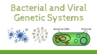 Bacterial and Viral Genetic Systems (Part 3)