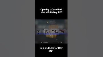 Opening a Case Until I Get a Knife Day #20