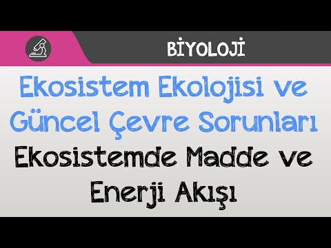 Ekosistem Ekolojisi ve Güncel Çevre Sorunları - Ekosistemde Madde ve Enerji Akışı