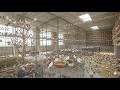🔥 Inside My 1000+ Zebra Finch Aviary | Successful Breeding in Summer 🐦