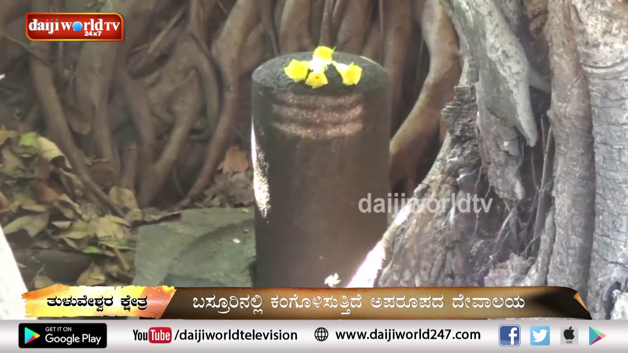 Jyothirgamaya - Shri Tuluveshwara Temple│Episode 31│Daijiworld Television