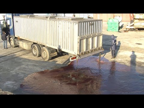 ფოთში თევზის გადამამუშავებელ 2 ქარხანაში დაკვირვების პროცესი დაიწყო 05 01 20