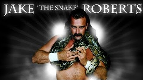 Jake "The Snake" Roberts Theme Mashup - Snake Bit || WWE/AEW Remix ||