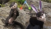 Ark レア カワウソ の発見場所とテイム方法 Ark Survival Evolved Ashs Youtube