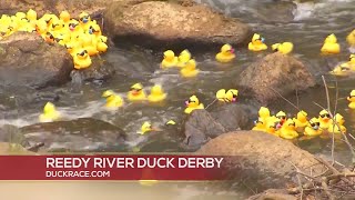 The Annual Reedy River Duck Derby - 20th Anniversary