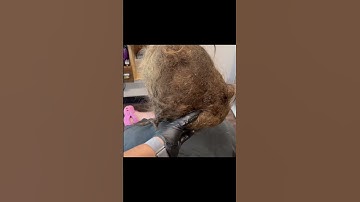 Kid’s detangling. Her got matted from constant swimming, using the wrong products and Covid.