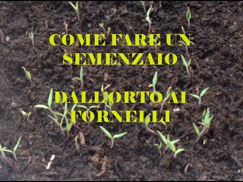 Come fare un Semenzaio in casa - Dall'Orto ai Fornelli