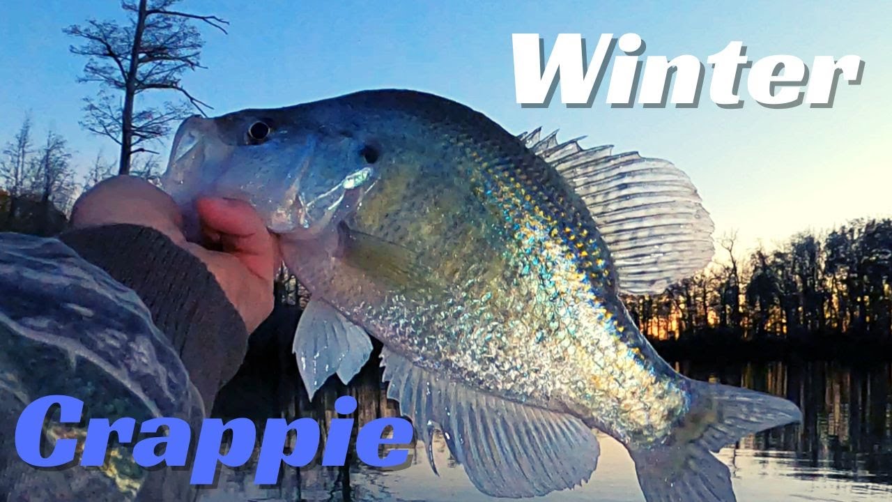 3 good ways to catch winter Crappie 