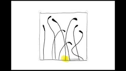 Zentangle Patterns | Tangle Patterns? - Fescu