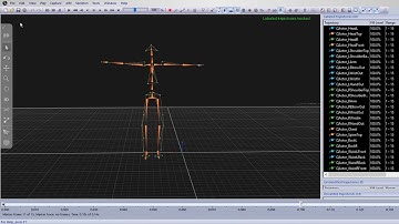 QTM 2019 Feature 03 - Export Skeletal Data from QTM