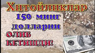 видео: ТОМЧИЛАТИБ СУГОРИШ УСУЛИДА 150 МИНГ ДОЛЛАР ТОПИШ! картинка: ТОМЧИЛАТИБ СУГОРИШ УСУЛИДА 150 МИНГ ДОЛЛАР ТОПИШ!
