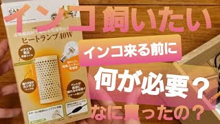 セキセイインコ 飼いたい  ② ヒーター サーモスタット 止まり木