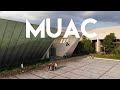 Museo universitario de arte contemporneo muac de la unam  ai weiwei el activista chino en cdmx