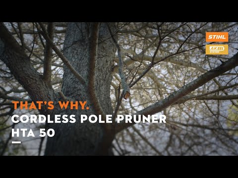 That's why: STIHL HTA 50 Pole Pruner