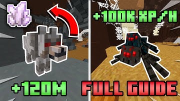 The ONLY Sven & Tarantula Slayer Guide You’ll Need | Hypixel Skyblock Guide