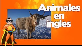 Animales en Ingles - Aprende los nombres de los animales en Ingles