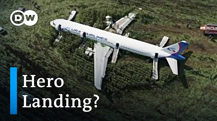 Russian airplane captain safely emergency lands plane after bird collision | DW News