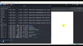 Lab3 4 Basic Linux Commands except update packages
