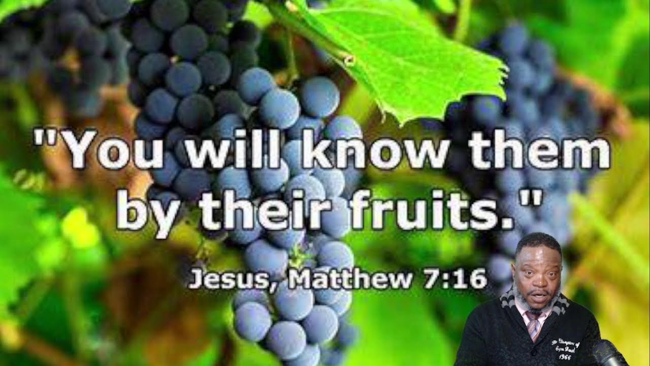 Jesus said you will know them by their fruit youtube