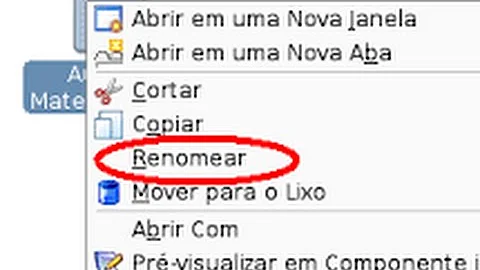 Por que não consigo renomear um arquivo?