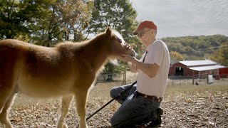 Horses and Art: Cherokee Artist John Guthrie by OsiyoTV 519 views 9 months ago 9 minutes, 3 seconds