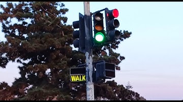 Old Econolite Traffic Light & Worded Neon Pedestrian Light (Talbot St & Canon St)