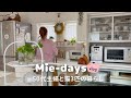 #273 朝4時から始まる春の暮らし｜50代主婦と猫3匹の1日｜朝晩のご飯レシピ