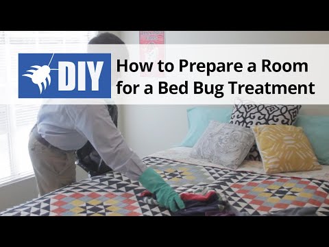 How To Get Rid Of Bed Bugs Treat And Kill Bed Bugs