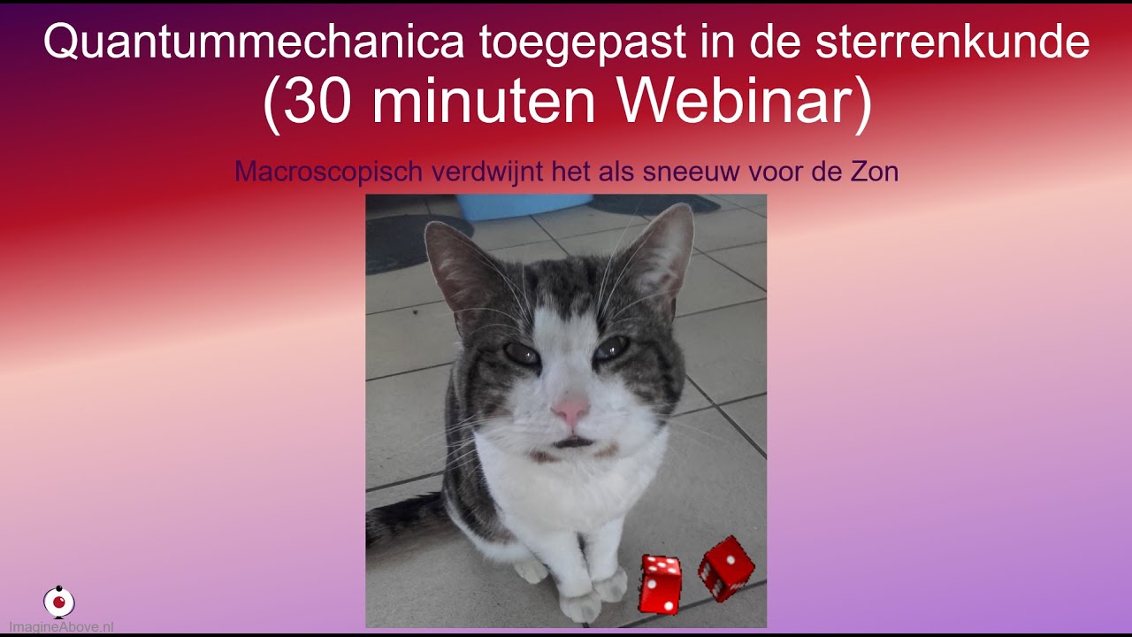 schrödingers kat uitgelegd