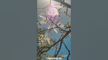 Capcut Mobile Colour Grading #shorts #youtubeshorts #colourgrading