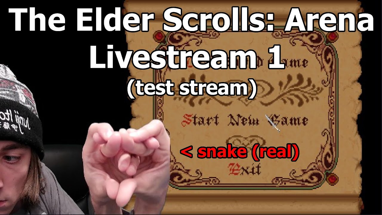 i play game The Elder Scrolls Arena Livestream 1