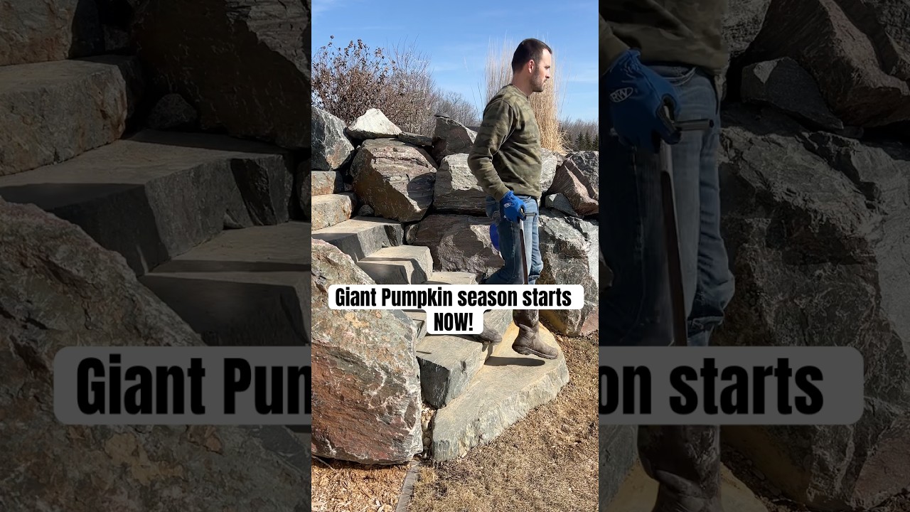 Giant Pumpkin Season Starts NOW! #garden #farming #vegetables #pumpkins #giantvegetables #soilhealth