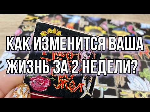 Как изменится ваша жизнь за 2 недели? Гадание пасьянс расклад онлайн