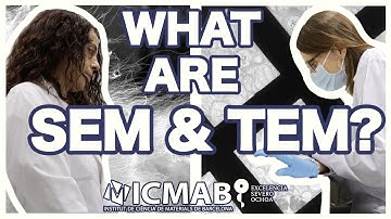 What are SEM & TEM? | NanoDay @ ICMAB