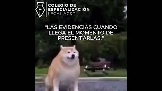 ⚖️😂 *LAS EVIDENCIAS CUANDO LLEGA EL MOMENTO DE PRESENTARLAS…* 📂🔥